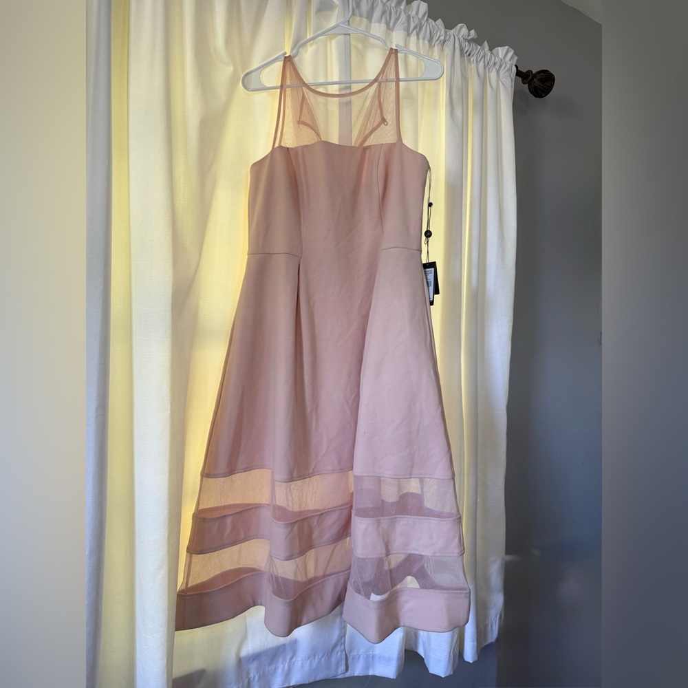 ADRIANNA PAPELL CREPE AND MESH ILLUSION MIDI FIT-FLARE COCKTAIL DRESS IN BLUSH